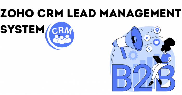 Zoho CRM Lead Management System