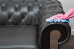 Leather upholstery cleaning Perth