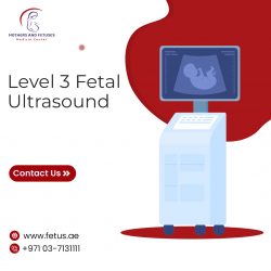 Level 3 Fetal Ultrasound | Mothers and Fetuses Group
