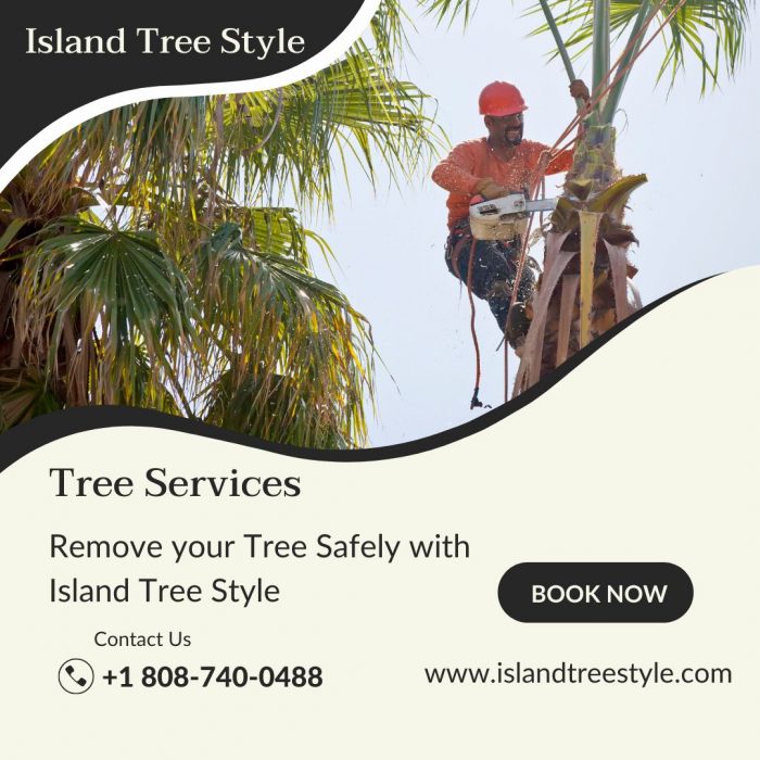 Why Should Hire a Professional Tree Service Provider in Hurricane Season
