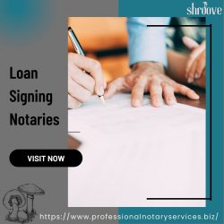 Experience Stress-Free Loan Signing with Professional Notary Services