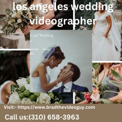 Capture Your Special Day with the Best Los Angeles Wedding Videographer