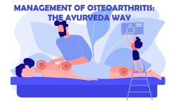 Management Of Osteoarthritis: The Ayurveda Way | Nimba Nature Cure