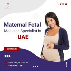 Maternal Fetal Specialist