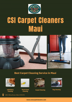 Complete Cleaning Solutions for Your Home with CSI Carpet Cleaning in Maui