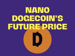 Nano Dogecoin’s future price