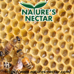 Natural Organic Honey With Turmeric
