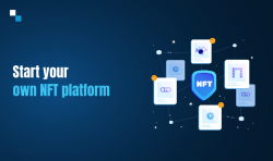 Get started with the best NFT Software Development Services