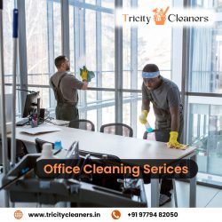 Unclean Office? Get Affordable Office Cleaning Services in Mohali