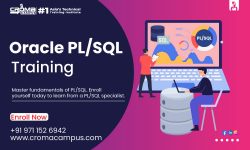 Oracle PL/SQL Online Training