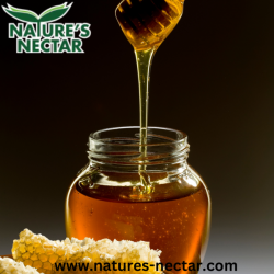 Organic Cinnamon Honey | Natures Nectar