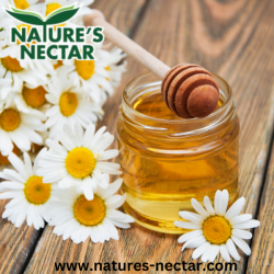 Organic Ginger Honey | Natures Nectar