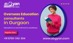 Top Overseas Education Consultants in Gurgaon