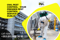 Owl Pest Control – Your Premier Pest Control Service in Dublin