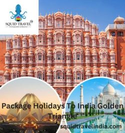 Package Holidays To India Golden Triangle by Squid Travel
