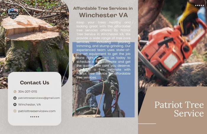 Affordable Tree Services in Winchester VA