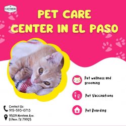 Pet Care Center in El paso