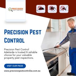 Termite Inspection | Precision Pest Control