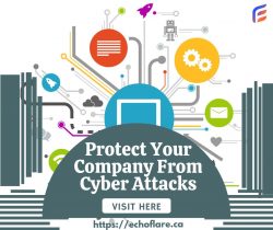 Protect Your Company From Cyber Attacks