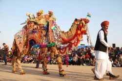 Book Rajasthan Tour Packages To Visit – Vacation Trip India