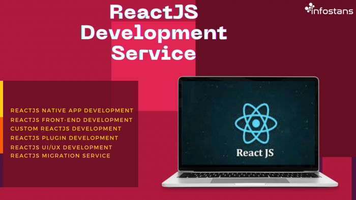 ReactJS Development Service