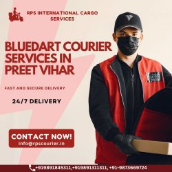Blue Dart Courier Services in Preet Vihar
