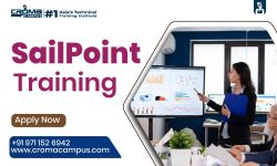 SailPoint Online Training