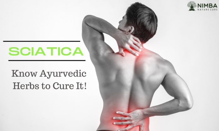 Sciatica – Know Ayurvedic Herbs to Cure It! | Naturopathy And Holistic Healthcare Centre