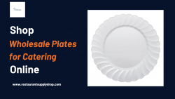 Shop Wholesale Plates for Catering Online