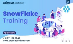 SnowFlake Course in Delhi