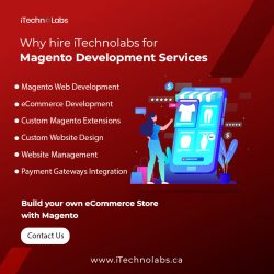 Custom Magento Development Services | iTechnoLabs