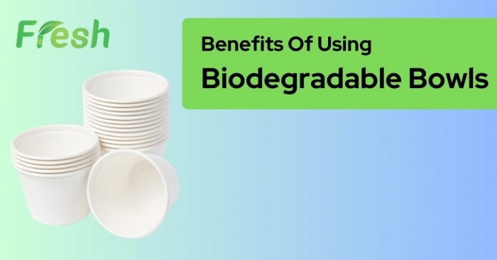 Biodegradable Bowls for Sustainable Dining