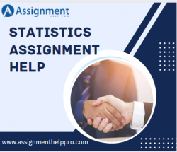 Achieve Excellent Scores in Your Statistics Assignment