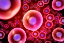 Stem Cells: Types, Sources, and Uses