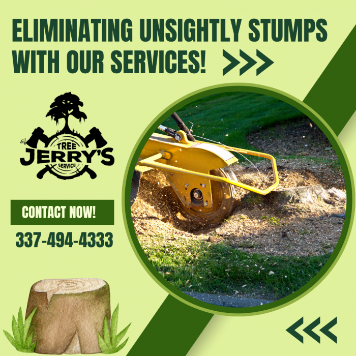 Get the Best Quality Stump Removal Service!