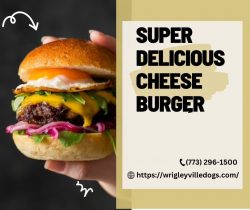 Super Delicious Cheese Burger