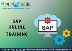 Top Certification – SAP Online Training | ShapeMySkills