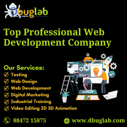 Top Professional Web Development Company in United States