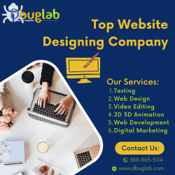 Top Website Designing Company in the United States