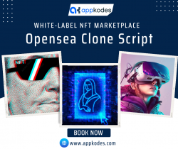 Opensea Clone | Appkodes