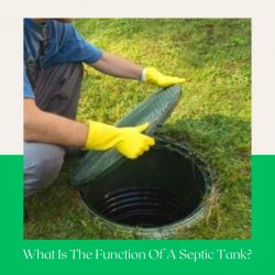 https://ibusinessday.com/what-is-the-function-of-a-septic-tank/