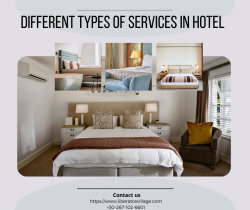 Various Types of Services in Hotel