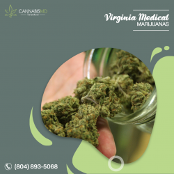 virginia medical marijuanas