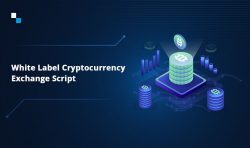 Top 10 Cryptocurrency Exchange Scripts in 2023