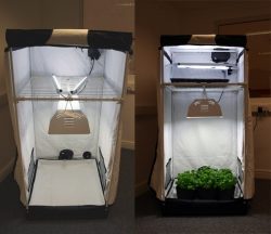 The Perks Of Choosing A Reputable Hydroponics Equipment Supplier