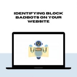 Identifying Block BadBots on Your Website