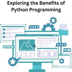 Exploring the Benefits of Python Programming