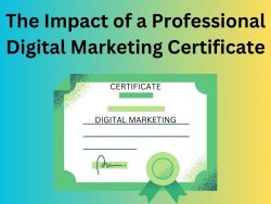 The Impact of a Professional Digital Marketing Certificate