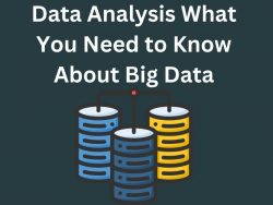 Data Analysis What You Need to Know About Big Data