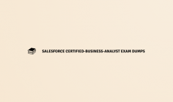 Breakneck Time to Pass the Certified Business Analyst Exam